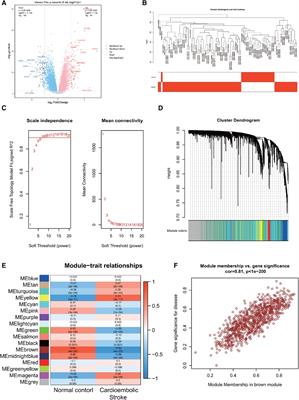 Exploring the shared biomarkers between cardioembolic stroke and atrial fibrillation by WGCNA and machine learning